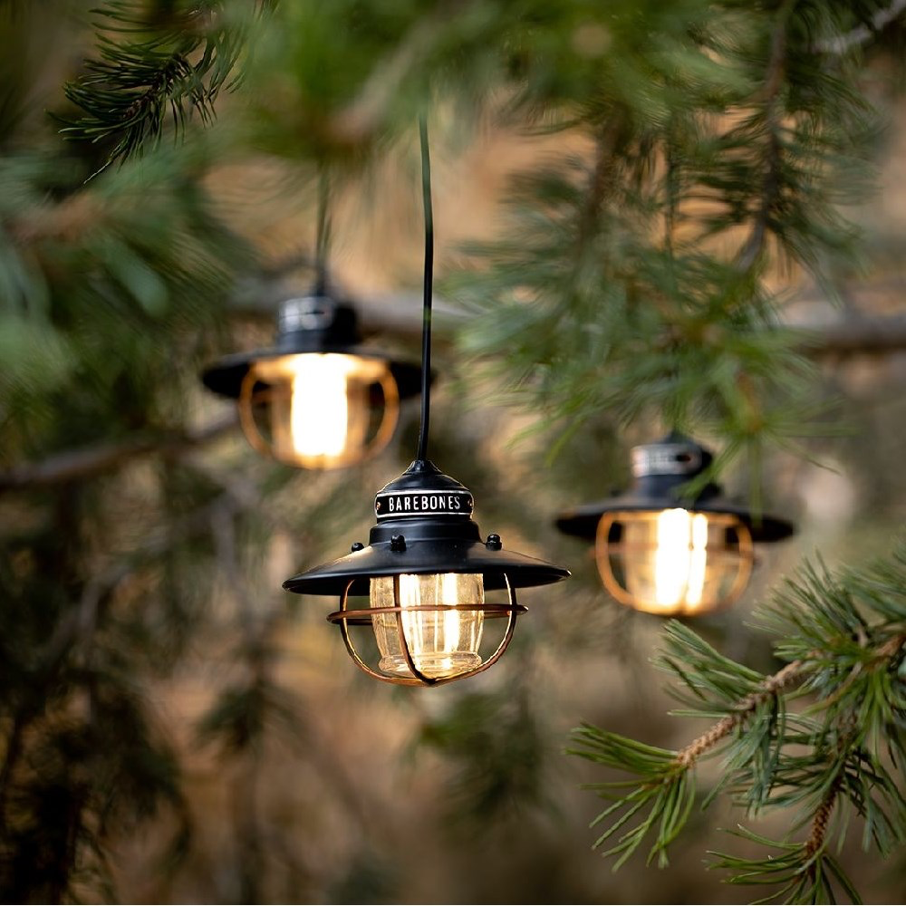 Edison Bronze 05 Barebones.webp